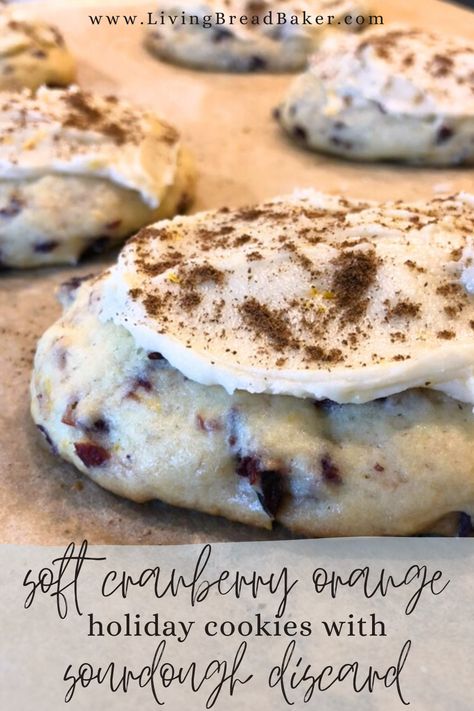 Learn how to make these delicious frosted soft cranberry orange holiday cookies with sourdough discard! In this post, I’ll cover some basics about sourdough discard, tips and techniques, and how to make these for the holiday season or other festive occasion. These are packed with orange flavor, a subtle hint of spice, chewy cranberries, a sourdough twist, and a soft cookie texture for an incredible flavor combo. Sourdough Cranberry Cookies, Cookie Texture, Cranberry Orange Cookies, Orange Cookies, Orange Clove, Cranberry Cookies, Sourdough Discard, Bread Baker, Cranberry Orange