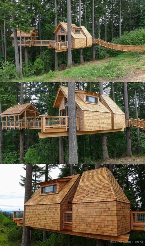 Treehouse With Deck, Hammock Deck, Cozy Tree House, Bridge Entrance, Rustic Treehouse, Modern Treehouse, Cable Bridge, Luxury Tree Houses, Tree Deck