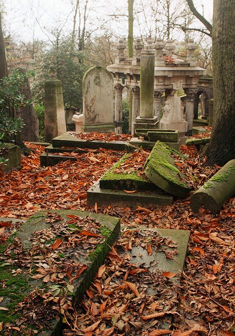 graveyards     #semiphoto I like the mysteriousness of graveyards, I quite enjoy photos of them in general. I particularly like how ancient and messy the graves in this photo look. Grave Aestethic, Abandoned Graveyard, Grave Stones, Cemetery Statues, Cemetery Headstones, Spooky Places, Old Cemeteries, Cemetery Art, Incubus