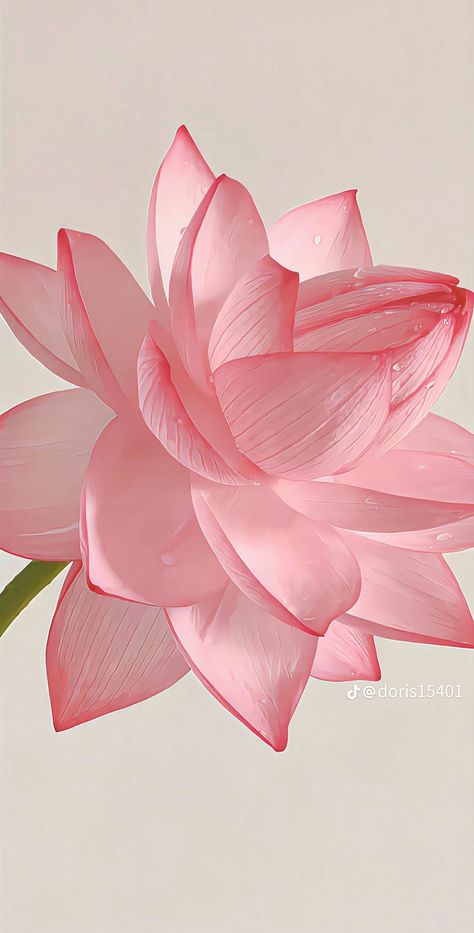 Pink Lotus Wallpaper, Lotus Aesthetic, Lotus Flower Wallpaper, Lotus Wallpaper, Lotus Flower Pictures, Lotus Flower Art, Desain Quilling, A Beautiful Flower, Wallpaper Nature Flowers