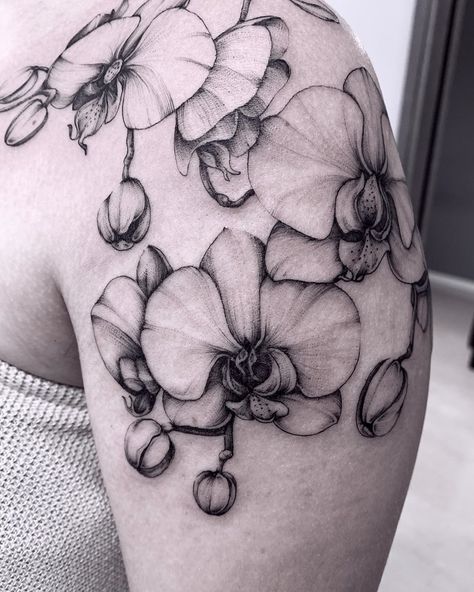 Rebecca Eibenstein on Instagram: “| orchid | #patterntattoo #blackworktattoo #blackart #darkartist #orchid #blackwork #blackworkers #blacktattooart #orchidtattoo…” Feather Tattoo Ear, Feather Tattoo Placement, Feather Tattoo Wrist, Purple Flower Tattoos, Feather Tattoo Colour, Feather With Birds Tattoo, Lillies Tattoo, Orchid Tattoo, Small Flower Tattoos