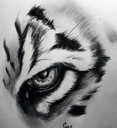 Griffon Tattoo, Tiger Eyes Tattoo, Family Tattoo Designs, Tattoo Posters, Tiger Tattoo Design, Classic Tattoo, Tiger Art, Desenho Tattoo, Tiger Tattoo