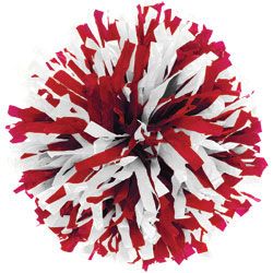 Custom Cheerleading Pom Poms at Omni Cheer Youth Cheerleading, Cheerleader Birthday, Cheerleading Pom Poms, Youth Cheer, Red And White Outfits, Cheer Pom Poms, Red Pom Poms, 30th Birthday Decorations, Cheerleader Costume