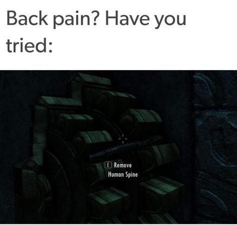 Elder Scrolls Memes, Skyrim Funny, Human Spine, Video Game Memes, Funniest Memes, Me Too Meme, Gaming Memes, Edgy Memes, Skyrim