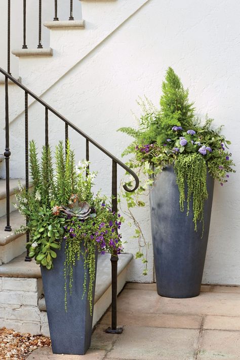 Modern Freestanding Container Front Door Planters, Moderne Have, Garden Troughs, Front Porch Planters, Door Planter, Porch Planters, نباتات منزلية, Container Gardening Flowers, Tall Planters