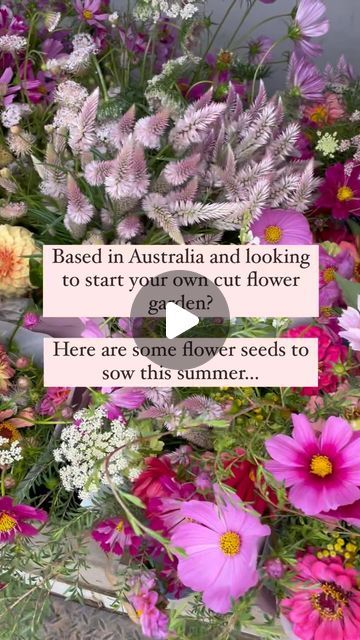 🌸FLOWER FARMERS | Gubbi Gubbi, QLD🌸 on Instagram: "Looking to start your own cut flower garden this year? Here are the flower seeds to sow this summer in Australia. Share with anybody who needs a little inspiration to get started. (Note: please try to be a responsible gardener and always consider your local environmental laws around pest plants, problematic plants and environmental weeds)💕🌸#flowerfarmstead #farmlife #flowerfarm #cutflowerfarmer #flowerstagram #gardeninspiration #cutflowers #garden #australiagram #gardenideas" Summer In Australia, Flowers Australia, Flower Farming, Flower Farmer, Cut Flower Garden, Flower Farm, Flower Seeds, Backyard Wedding, Simple Life