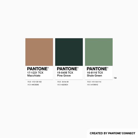 Macchiato, Pine Grove & Shale Green Pantone Color Chart, Autumn Palette, Colors Combinations, Color Combos Outfit, Colour Inspiration, Colour Combinations, Colour Palettes, Pantone Color, Color Combination