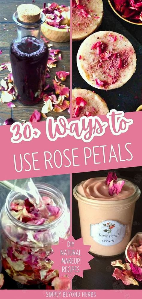 Embrace the versatility of rose petals with more than 30 DIY uses for enhancing your skin and hair's health and beauty. From soothing skin to revitalizing hair, discover the centuries-old secrets of roses as healing flowers. Ideal for those crafting homemade skin care or seeking natural remedies. Find extensive rose recipes, rose petal recipes, and DIY natural makeup at simplybeyondherbs.com. Dehydrated Rose Petals, Rose Petal Uses Diy, What To Do With Old Rose Petals, What To Make With Rose Petals, Crafts With Rose Petals, Things To Do With Roses, Diy Beauty Products Recipes, Things To Do With Rose Petals, Dried Rose Petals Ideas