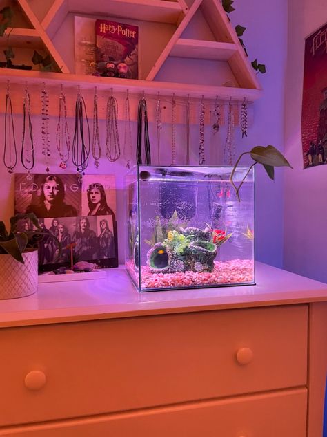 Astetic Fish Tank Ideas, Fish Tank Small Apartment, Small Fish Tanks In Bedroom, Aesthetic Room With Fish Tank, Aesthetic Fish Tank Ideas Pink, Fish Tank Shelves, Dorm Fish Tank, Bedroom Fish Tank Ideas, Fish Tank Aesthetic Bedroom