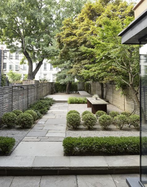 Brooklyn garden fence by Matthew Williams #gardenista Low Maintenance Landscaping Front Yard, Boxwood Landscaping, Backyard Trees, No Grass Backyard, Privacy Plants, Privacy Landscaping, Garden Screening, Magic Garden, Contemporary Garden