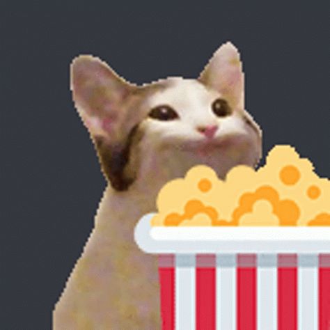 Cat Jam Popcorn GIF - Cat Jam Popcorn Cat - Discover & Share GIFs Emojis To Use, Emojis For Discord, Eating Popcorn, Cat Animated, Pop Cat, Black Guy, Popcorn, Jam, Gif