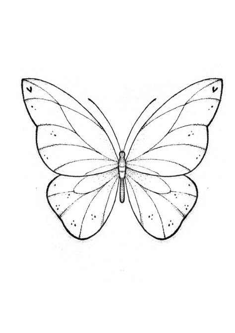 Butterfly Ideas Drawing, Butterfly Pattern Drawing, Unique Butterfly Drawing, Butterfly Wing Drawing, Butterfly Drawings Easy, How To Draw A Butterfly, Drawing Ideas Butterfly, Drawing Of Butterflies, Butterfly Wings Drawing