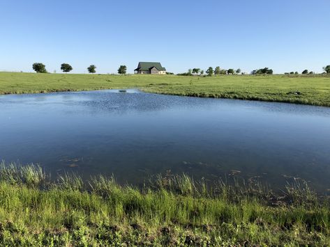 Catfish Pond, Fishing Pond, Duck Pond, Fish Ponds, Nature Images, Catfish, Ponds, Bass, Hunting