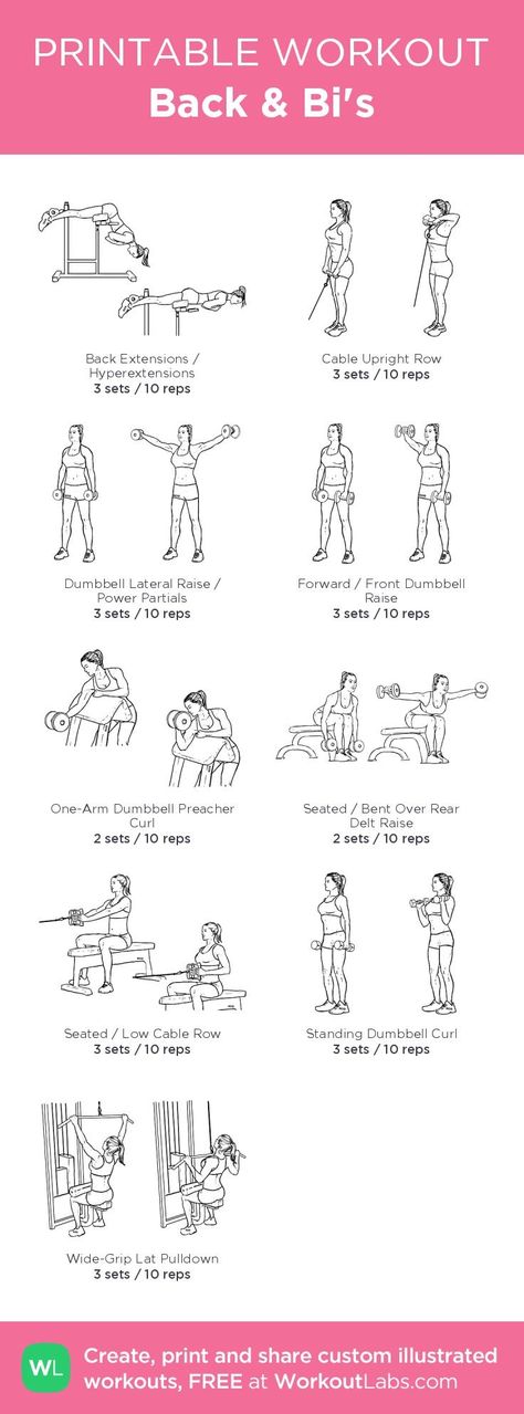 Back And Bi Workout, Bi Workout, Back And Bis, Workout Labs, Printable Workout, Gym Plan, Printable Workouts, Exercise Plan, Heath And Fitness