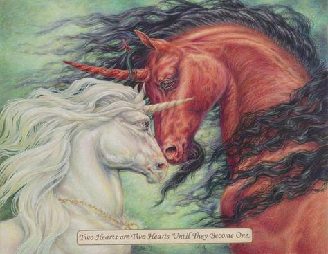 Unicorns Aesthetic, Unicorn And Dragon, Mythical Horses, Pegasus Art, Pegasus Unicorn, Magical Horses, Unicorn Tattoos, Unicorn Pictures, Fantasy Horses