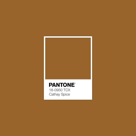 Pantone Orange, Brown Pantone, Pantone Swatches, Pantone Palette, Color Pantone, Pantone Colour Palettes, Fall Color Palette, Color Inspo, Color Of The Year