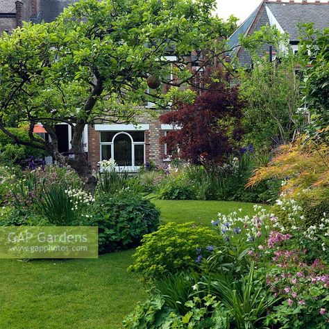 Apple Tree Garden Design, Apple Tree Garden, Pine Garden, Tree Borders, Period Living, Herbaceous Border, Tree Garden, Garden On A Hill, Sloped Garden