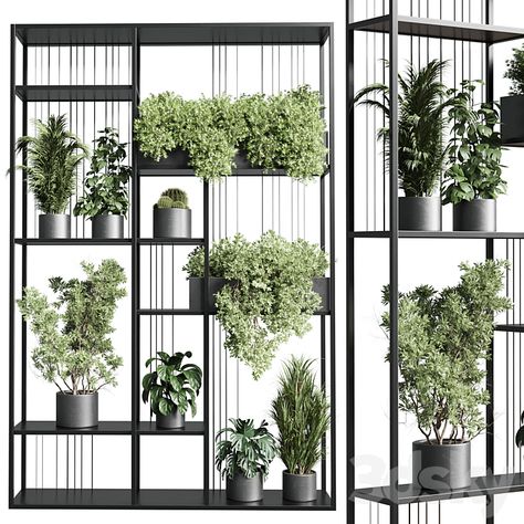 Standing metal shelf with a set of plants in concrete and metal boxes 325 - Indoor - 3D model Plants Ideas, Plant Box, Frame Shelf, Living Room Partition, Foyer Design, Living Room Partition Design, Metal Shelf, Room Partition Designs, Partition Design