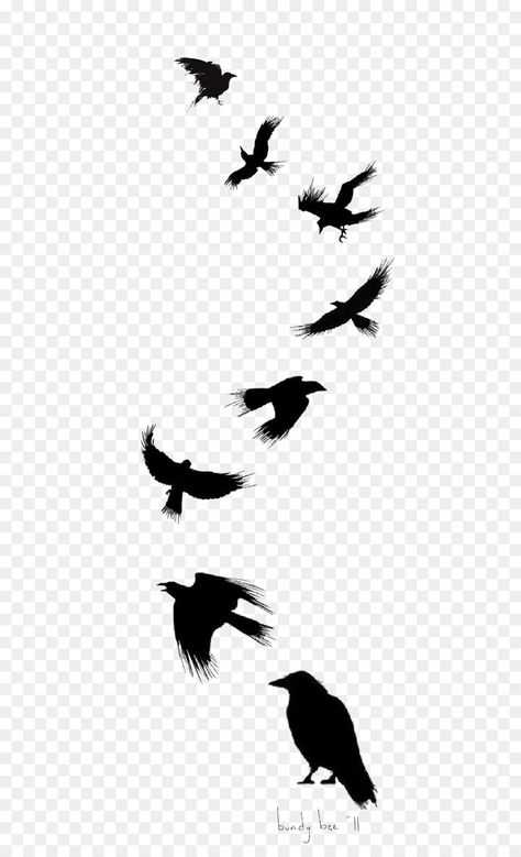 Bird Tattoo Drawing, Crow Png, Black Crow Tattoos, Geometric Tattoo Bird, Common Raven, Crow Silhouette, Crows Drawing, Vogel Silhouette, Bird Tattoo Wrist