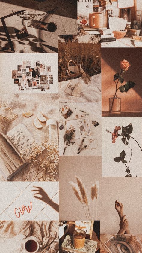 Paige
Aesthetic
Wallpaper Paige Astethic, Therese Core Aesthetic, Cathy Core Aesthetic, Grace Core Aesthetic Wallpaper, Sara Core Aesthetic Wallpaper, Nicole Core Aesthetic Wallpaper, Nichole Core Aesthetic, Chelsie + Core + Aesthetic, Phoebe + Core + Aesthetic