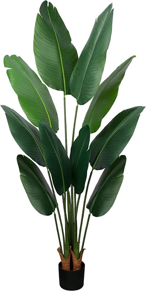 Long Leaf Plants, Banana Leaf Plant, Faux Palm Tree, Banana Leaf Tree, Big Leaf Plants, Big Indoor Plants, Birds Of Paradise Plant, Palm Tree Plant, Paradise Plant