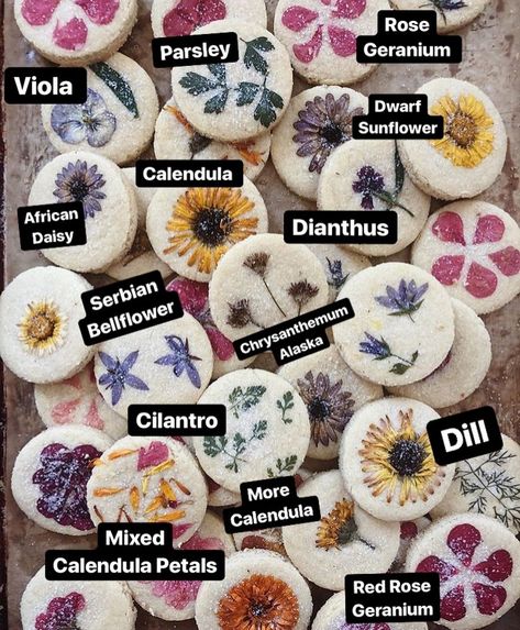 Edible Flowers Recipes, Cake Online, Fancy Cookies, Flower Cookies, Flower Food, Beltane, Vegan Cake, Shortbread Cookies, Edible Flowers