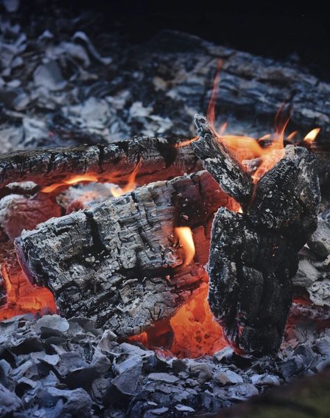 Hot Coals Aesthetic, Wildfire Druid Aesthetic, Wildfire Druid, Burned Forest, Hunger Games Districts, Hot Coals, Fire Photography, Medieval Period, Sweet Romance