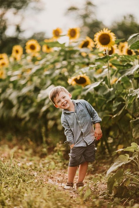 Sunflower Kids Photoshoot, Flower Field Photoshoot Kids, Sunflower Farm Photoshoot, Sunflower Field Photoshoot Family, Sunflower Pics, Sunflower Shoot, Photograph Idea, Sunflower Mini Session, Sunflower Photos