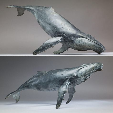 Whale Sculpture, Whale Swimming, Whale Drawing, Whale Illustration, Whale Art, Animal Sculpture, Art Carved, Swimming Diving, Marine Mammals