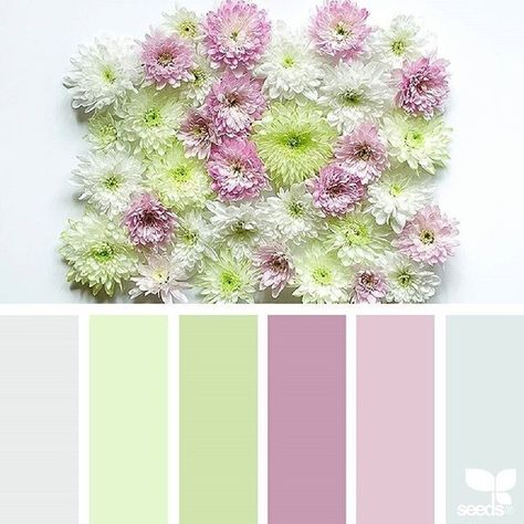 Design Seeds Color Palette, Seeds Color Palette, Colour Magic, Today's Inspiration, Fashion Sketching, Seeds Color, Colour Guide, Colour Pallets, Color Concept