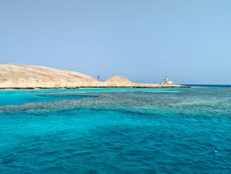 The Red Sea in Hurghada, Egypt Red Sea Egypt, Hurghada Egypt, The Red Sea, Red Sea, Sea Fish, Mountain Landscape, Egypt, Vision Board, Water