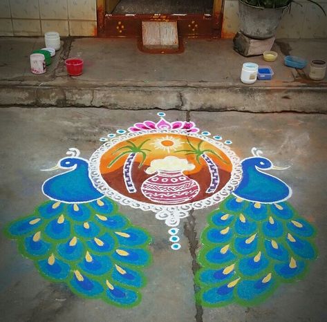 Pongal Designs, Rangoli Sankranti, Bhogi Muggulu, Rangoli Competition, Sankranti Muggulu, Pongal Festival, 3d Rangoli, Pongal Celebration, Pongal Rangoli