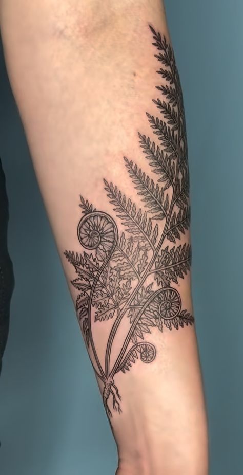 Palapalai Fern Tattoo, Fiddle Fern Tattoo, Curled Fern Tattoo, Fern Forearm Tattoo, Fiddlehead Fern Tattoo, Fern And Flower Tattoo, Tattoo Fern, Botanical Illustration Tattoo, Rosemary Tattoo