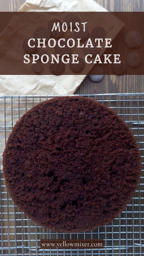 moist chocolate sponge cake Soft Chocolate Sponge Cake Recipe, Dark Chocolate Sponge Cake, Chocolate Sponge Cake Recipe Moist, Chocolate Genoise Sponge Cake, Japanese Chocolate Cake, Sponge Chocolate Cake, Chocolate Espresso Cake Recipe, Chocolate Baking Recipes, Baking With Chocolate