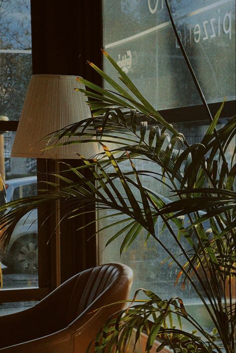 Coffee Plant Aesthetic, Brown Restaurant Aesthetic, Dark Green Coffee Shop, Green Coffee Shop Aesthetic, Coffee Green Aesthetic, Coffee And Plants Aesthetic, Cafe Aesthetic Green, Brown Cafe Aesthetic, Green Cafe Aesthetic