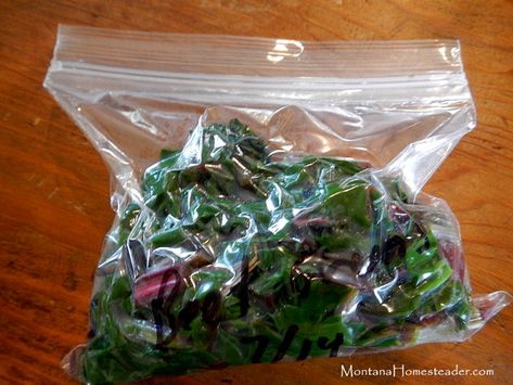 What To Do With Beet Greens, Freezing Beets, How To Store Beets, Beet Green Recipes, Preserving Meat, Fermented Vegetables Recipes, Storing Produce, Freezing Vegetables, Freezing Fruit