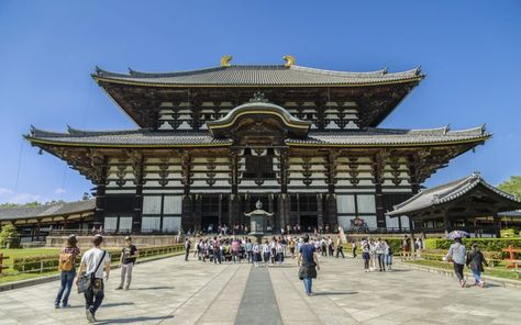 Todaiji Temple - Nara Todaiji Temple, Japanese Shrine, Himeji Castle, Most Beautiful Gardens, Remote Island, Visit Japan, Hiroshima, Okinawa, National Museum