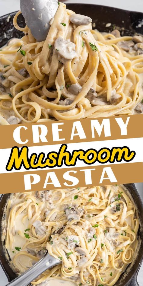 Linguine With Creamy Mushroom Sauce, Mushroom Mozzarella Pasta, Easy Recipes With Cream Of Mushroom Soup, Mushroom Linguine Creamy, Easy Mushroom Sauce For Pasta, Pasta Dishes Meatless, Pasta With Champignon, Creamy Mushroom Bacon Pasta, Creamy Mushroom Zucchini Pasta