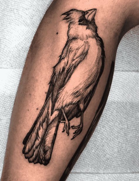 Cardinal Tattoo Design Images (Cardinal Ink Design Ideas) Cardinal Shoulder Tattoo, Cardinal Tattoo Design, Cardinal Tattoo Ideas, Cardinal Bird Tattoos, Secret Tattoo Ideas, Cardinal Tattoo, Cardinal Tattoos, Biblical Tattoos, Back Of Arm Tattoo