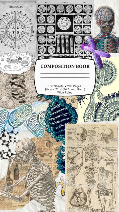 Chemistry Notebook Cover, Front Page Design, Composition Book, Anatomy Art, Notebook Cover, Good Notes, Journal Covers, Page Design, Chemistry