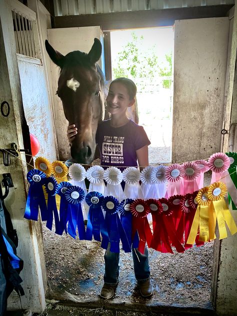 Horse Show Ribbon Display Lattice, Horseback Riding Ribbon Displays, Horse Riding Ribbons Display, Shadow Box Horse Show Ribbons, Tail Ribbons Horse, Horse Show Ribbons, Grey Horses, Horse Games, Horse Photo