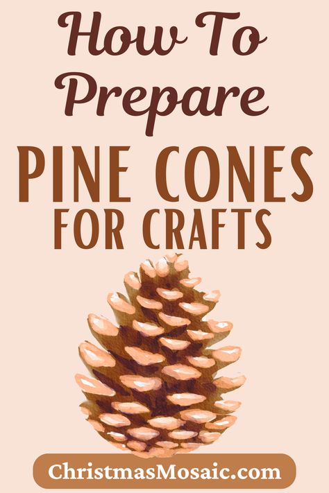 Pine cones can be used in all sorts of craft projects. In this blog post, we'll give you some tips on preparing pine cones for your next project. Pine Comb Crafts, Pine Cone Centerpieces, Pinecone Ideas, Giant Pine Cones, Sugar Pine Cones, Christmas Mosaics, Fir Cones, Pine Cone Christmas Tree, Cone Christmas Trees