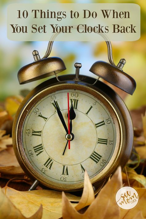 Fall Back Time Change, Set Clocks Back, Turn Clocks Back, Fall Back Time, Daylight Savings Time Humor, Day Light Savings, Clocks Fall Back, Daylight Saving Time Ends, Clocks Back