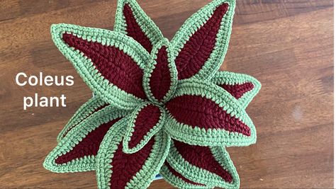 Crochet Coleus Plant Free Pattern, Crochet Hdc, Triple Crochet, Crochet Plants, Felt Flowers Patterns, Crochet Succulent, Crochet Bird Patterns, Knifty Knitter, Crochet Leaf Patterns