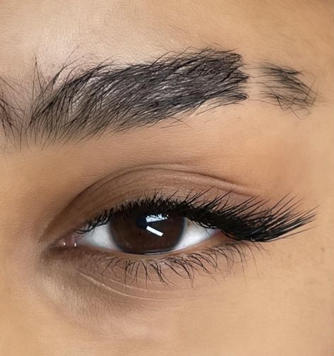 With our popular “double-volume-lashes”, also known as 2D lashes, two extensions are attached onto one natural eyelash. #eyelashes https://nomascaralook.com/services/ 2d Lashes, 3d Lash Extensions, Eyelash Remover, Double Volume, Double Lashes, Live Model, Brow Lamination, 3d Lashes, Natural Eyelashes