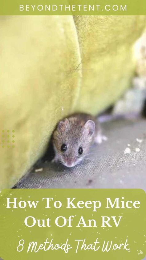 How To Repel Mice Naturally, Anti Mouse Bags Diy, How To Keep Mice Out Of Rv, Mouse Proofing Camper, Keeping Mice Out Of Campers, Keep Mice Out Of Camper, How To Keep Mice Out Of Camper, How To Get Rid Of Mice, Mouse Deterant