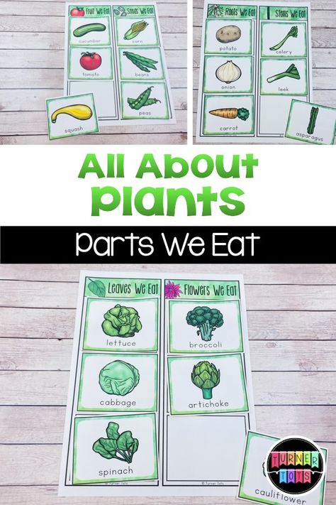 Plants We Eat Preschool, Plants We Eat Activities, Plant Parts We Eat, Vegetable Science Preschool, Garden Lesson Plans For Preschool, Plant Theme Preschool, Parts Of A Plant Preschool, Preschool Snowflakes, Plant Science Activities