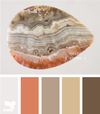 love the coral pops with the rich neutrals Cream Furniture, Palette Design, Trendy Living Rooms, Color Palate, Theme Color, Design Seeds, Paint Schemes, Living Room Paint, Room Paint