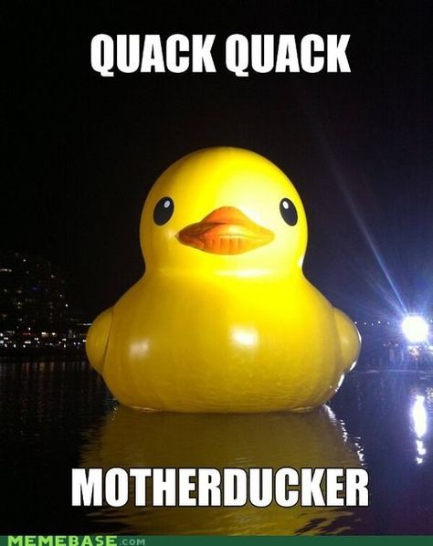 Splish Splash, Suckers Duck Memes, Minimal Techno, Quack Quack, Funny Duck, Funny Animal Jokes, Funny Wallpaper, Very Funny Pictures, Animal Jokes, Quick Jokes