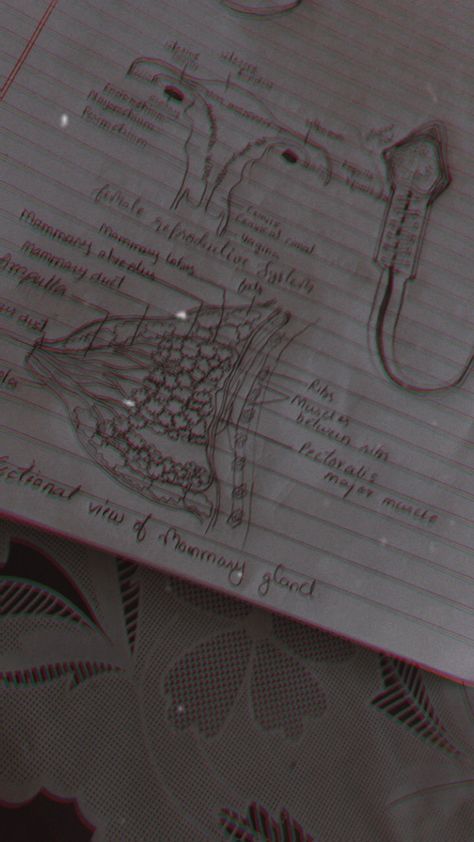 Sectional view of mammary gland,female reproductive system and structure of a male human sperm Biology Diagrams, Mammary Gland, Female Reproductive System, Science Projects For Kids, Reproductive System, Human Male, Science Projects, Projects For Kids, Biology